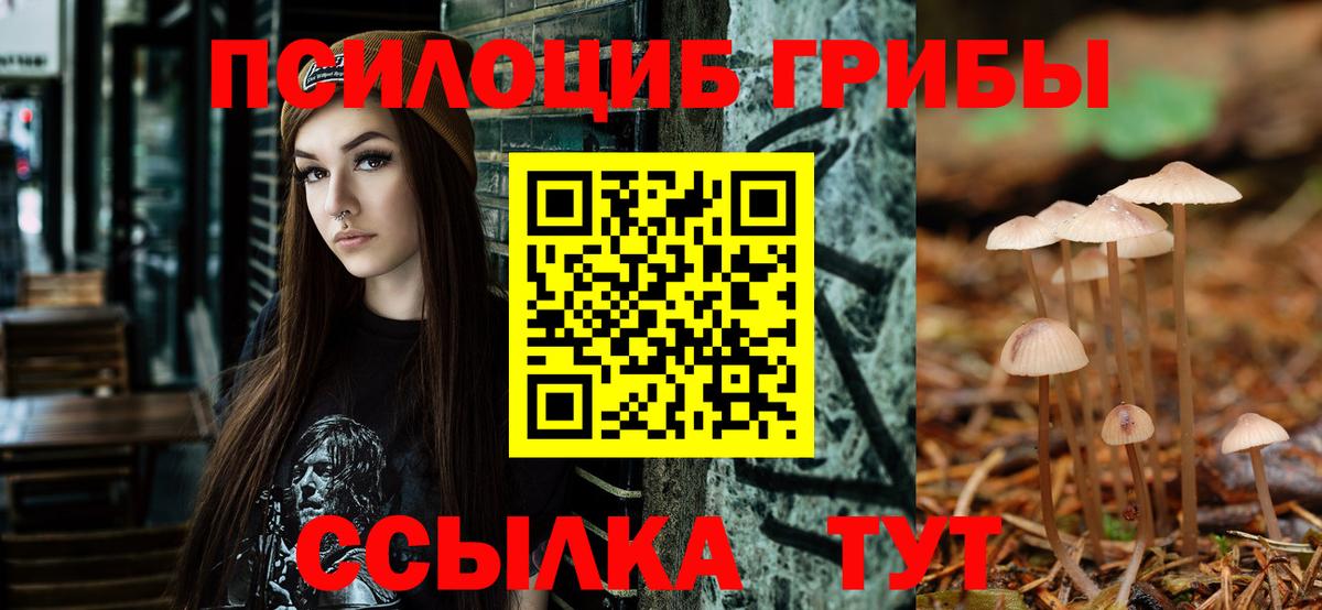 Черняховск  Галлюциногенные грибы Cubensis  Вход с VPN 